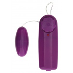 Fantastic Sex Toy Kit