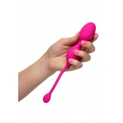 Remote Dual Motor Kegel System