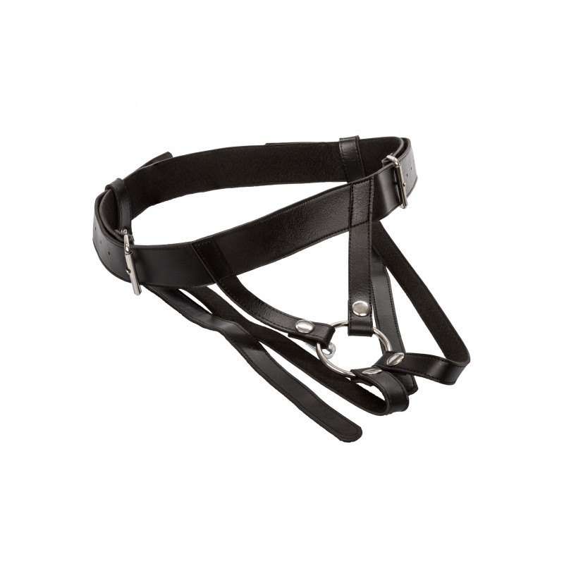 Premium Ring Harness