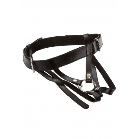 Premium Ring Harness