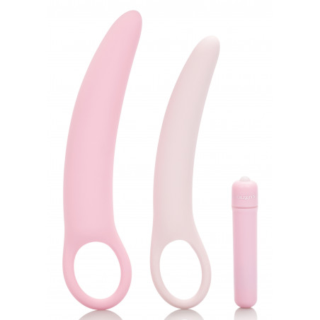 Vibrating Dilator 3pcs Set