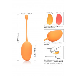 Kegel Training Set Mango