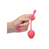 Kegel Training Set Strawberry