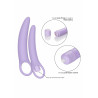 Isabelle Set Of 2 Dilators