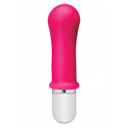 Boom! 10 Function Vibrator