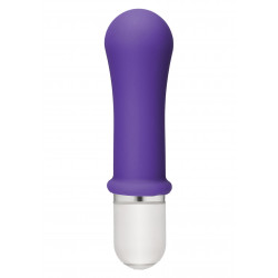 Boom! 10 Function Vibrator