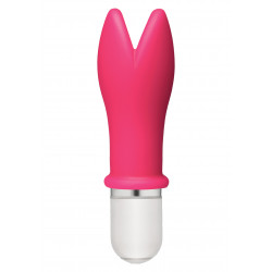 Whaam! 10 Function Vibrator