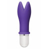 Whaam! 10 Function Vibrator