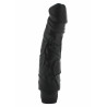 Pleasures Vibrator 22 Cm