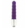 Discretion Ribbed Vibrator