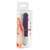 Discretion Ribbed Vibrator