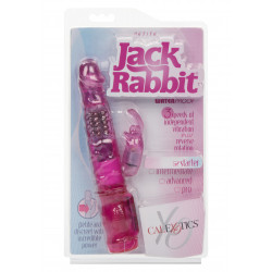 Petite Jack Rabbit