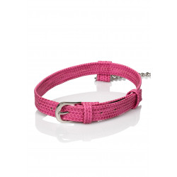 Tickle Me Pink Collar W Leash