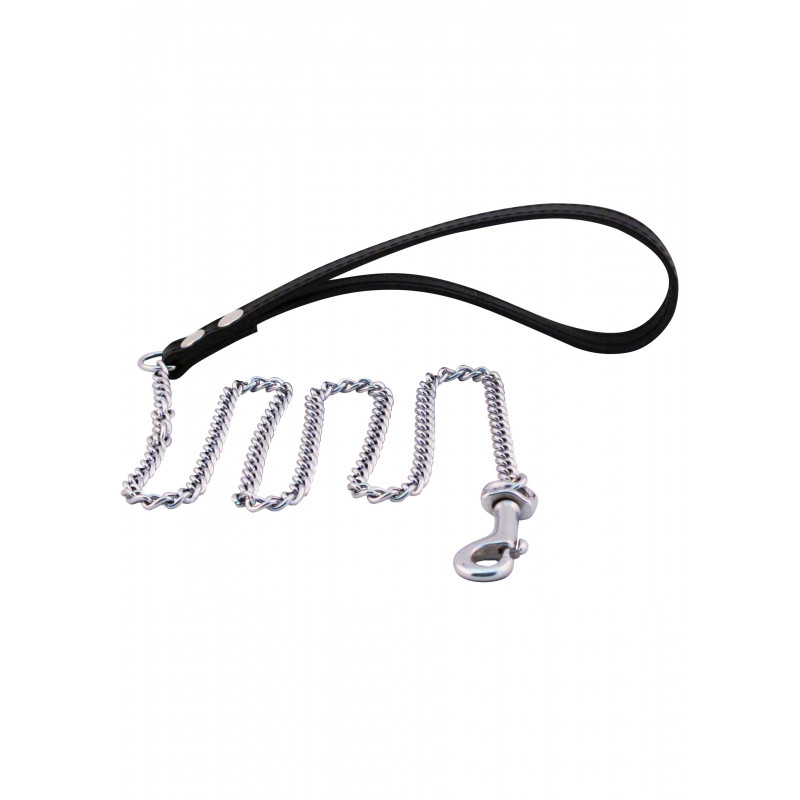 Puppy Leash Chain