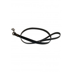 Leather Dog Leash