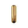 Rechargeable Hideaway Bullet