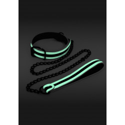 Glo Collar And Leash