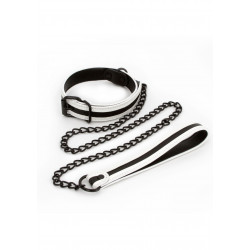 Glo Collar And Leash