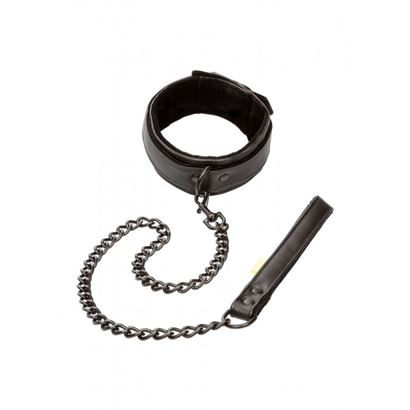 Boundless Collar & Leash