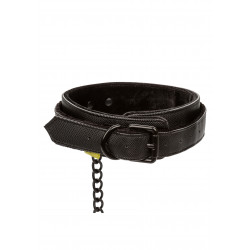 Boundless Collar & Leash